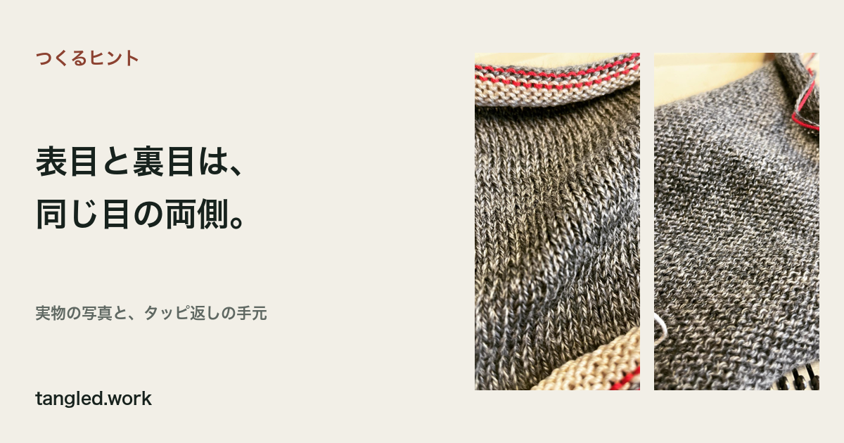表目と裏目は、同じ目の両側。
